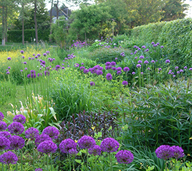De Natuurtuin Gerd van Helden